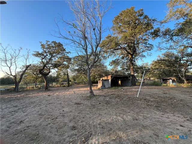 a view of a backyard with large trees