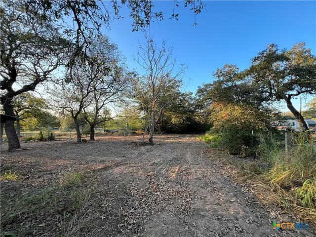 a view of a yard with a tree