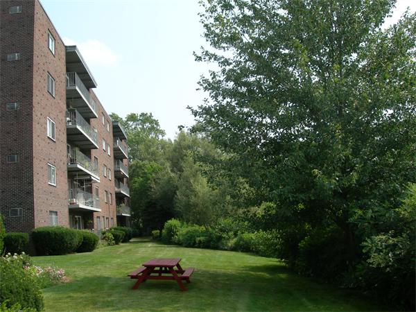 18 Hamilton Road, Unit 505 Arlington, MA 02474 - Photo 10 of 12 Gallery Image 10