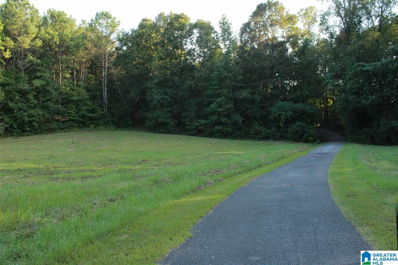0 Hidden Valley Trail Oneonta, AL 35121 - Photo 1 of 5