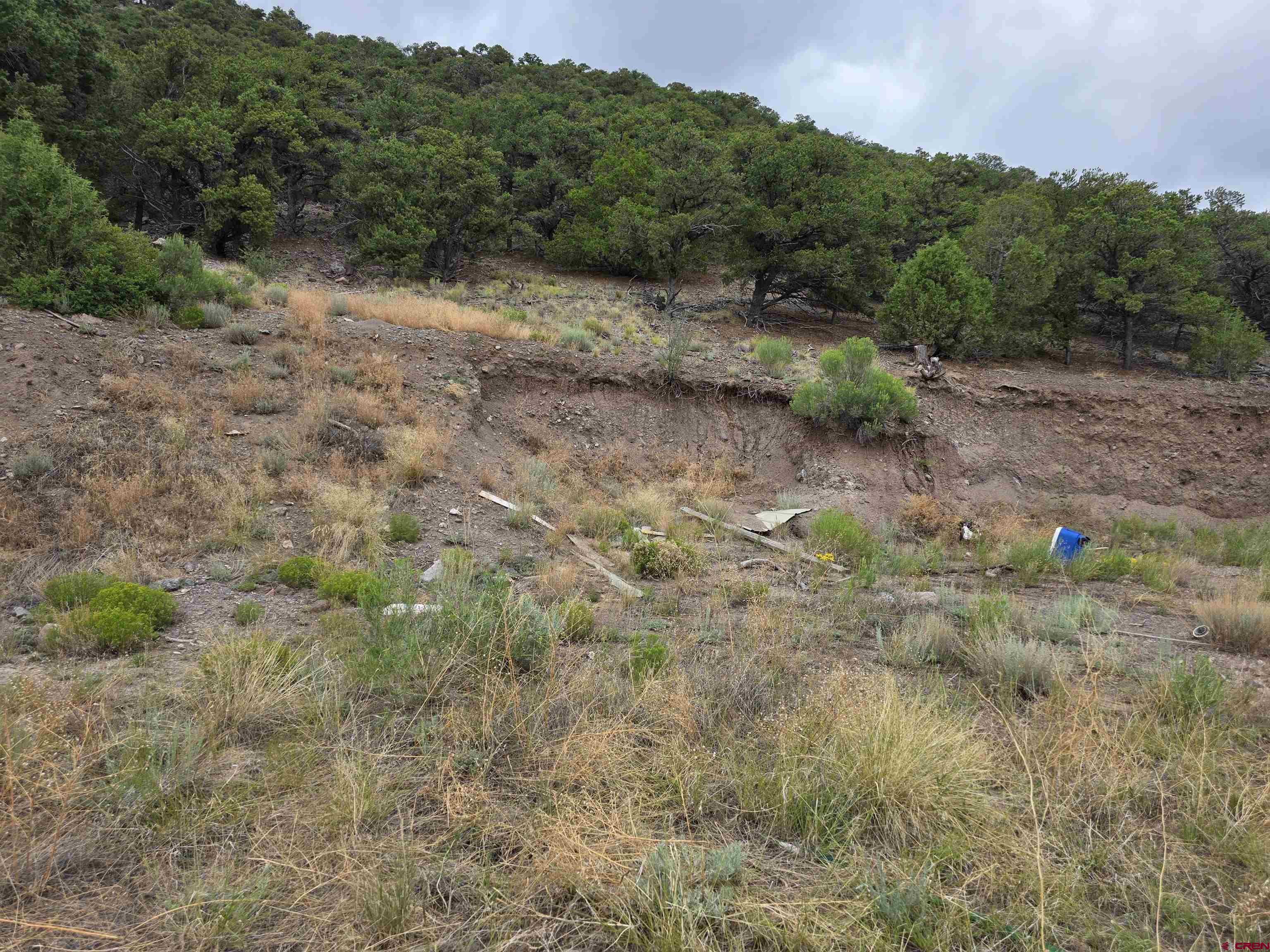 Tbd Tbd Joy Road Fort Garland, CO 81133 - Photo 11 of 11 a view of a field with trees in the background