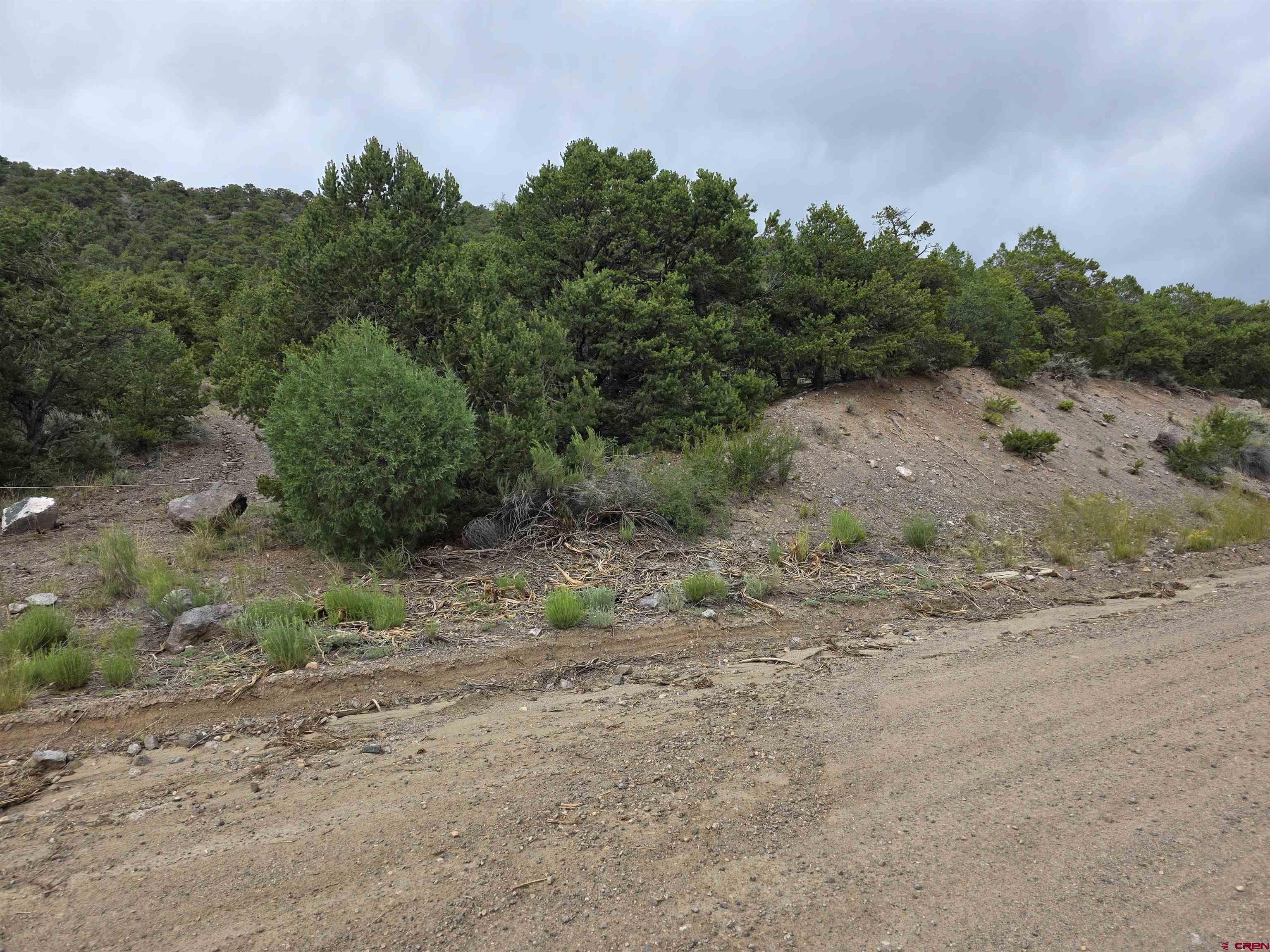 Tbd Tbd Joy Road Fort Garland, CO 81133 - Photo 3 of 11 a view of a dirt road with trees in the background