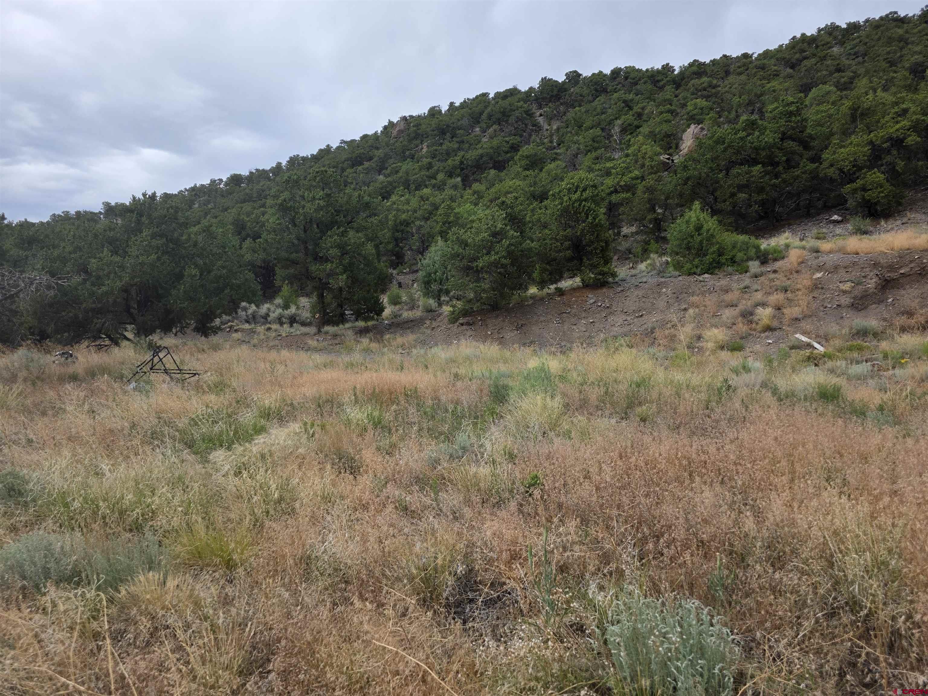 Tbd Tbd Joy Road Fort Garland, CO 81133 - Photo 5 of 11 a view of a yard with a tree