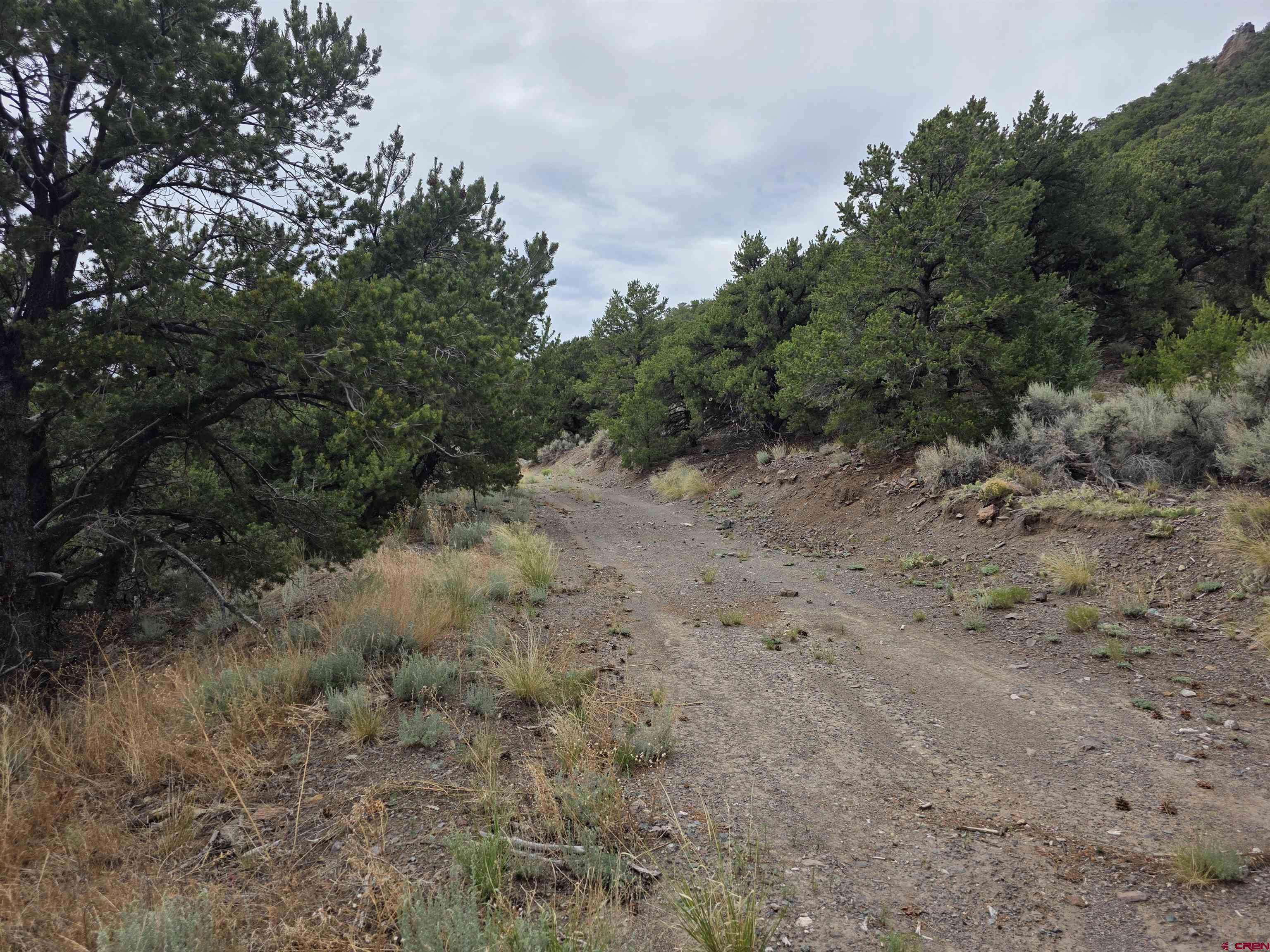 Tbd Tbd Joy Road Fort Garland, CO 81133 - Photo 7 of 11 a view of a covered with trees in the background