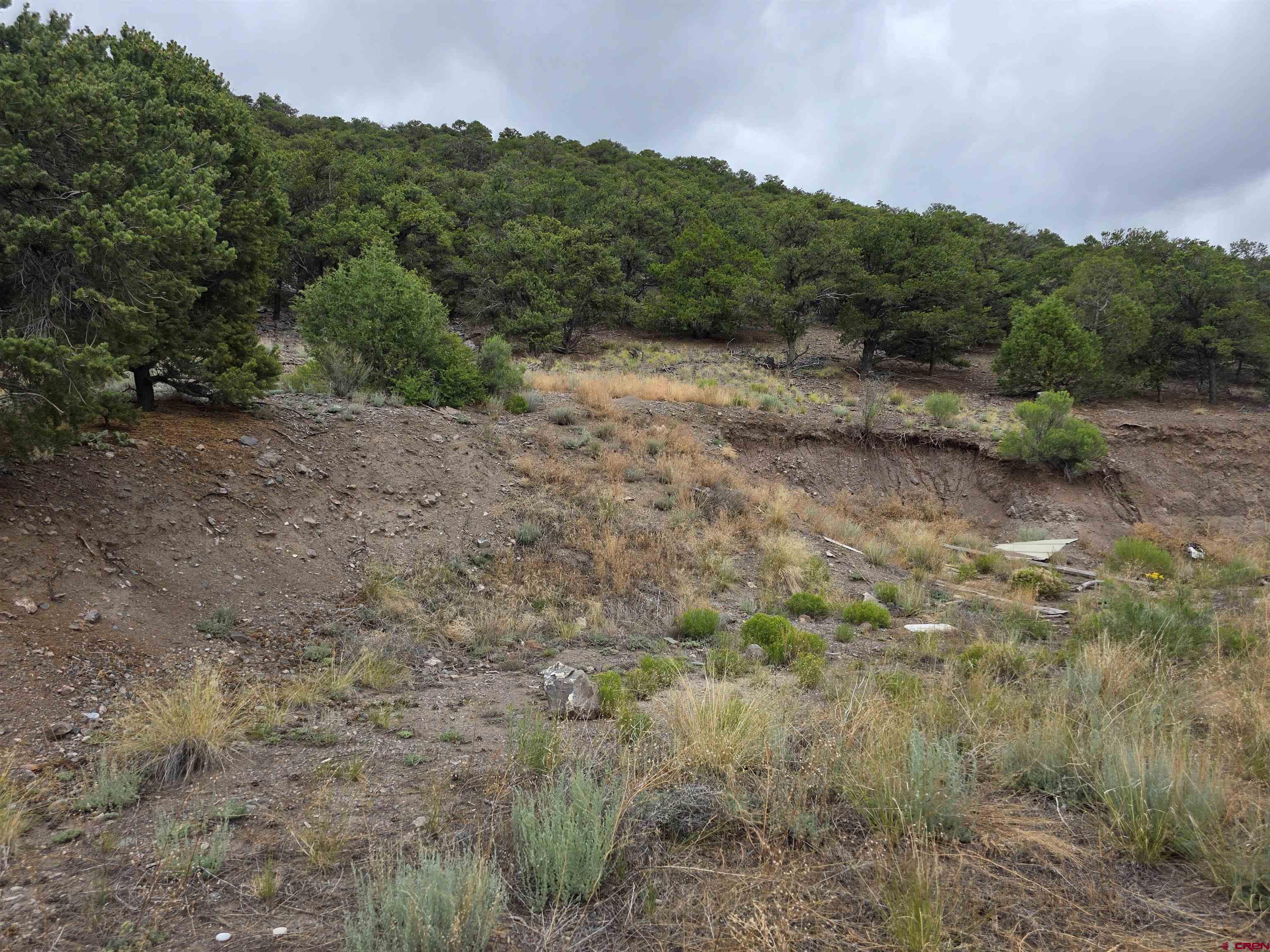 Tbd Tbd Joy Road Fort Garland, CO 81133 - Photo 8 of 11 a view of a dry yard with trees in the background