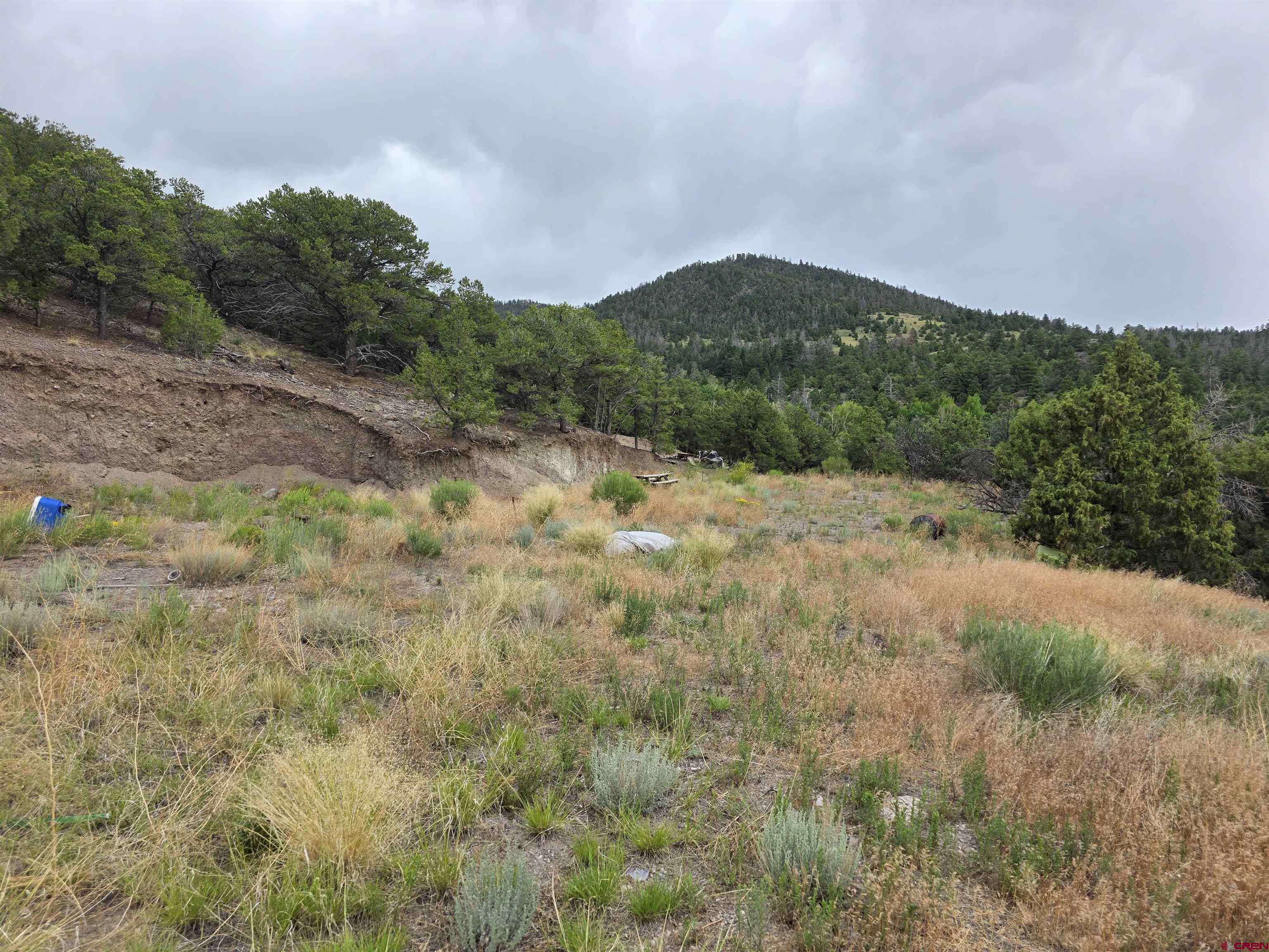 Tbd Tbd Joy Road Fort Garland, CO 81133 - Photo 10 of 11 a view of a dry yard with mountains in the background