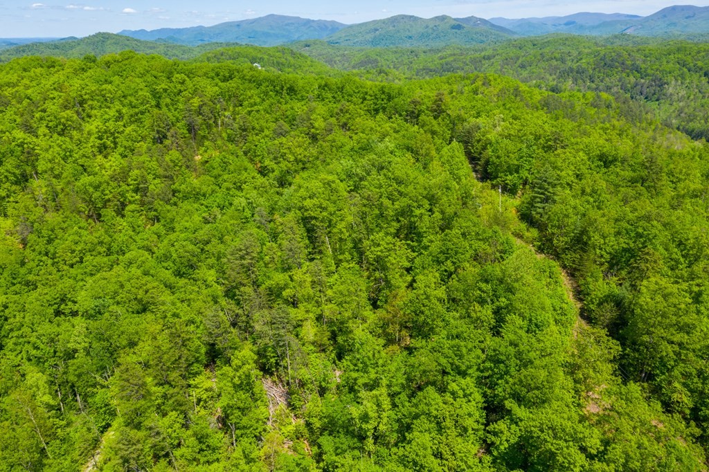 0 Henry Town Road Sevierville, TN 37876 - Photo 21 of 38 Gallery Image 21