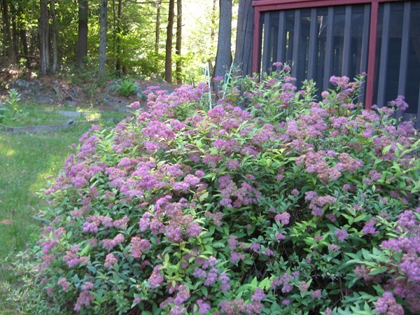 17 Laurel Mountain Road Whately, MA 01039 - Photo 8 of 9 Gallery Image 8