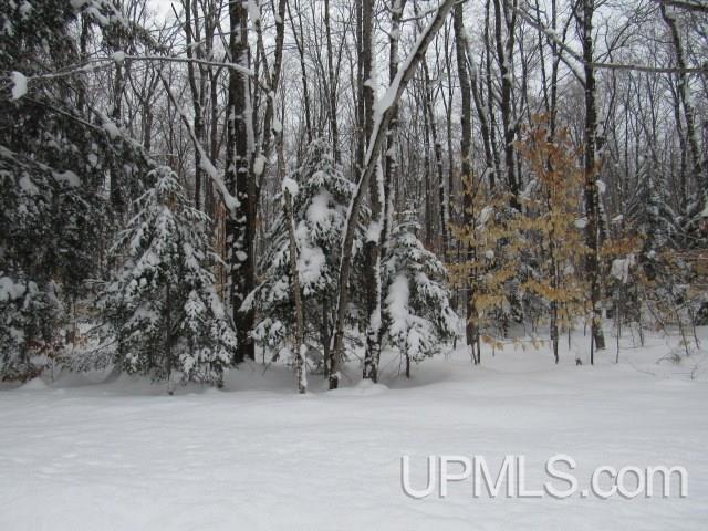 16 Mile Lake Road Munising, MI 49862 - Photo 10 of 16