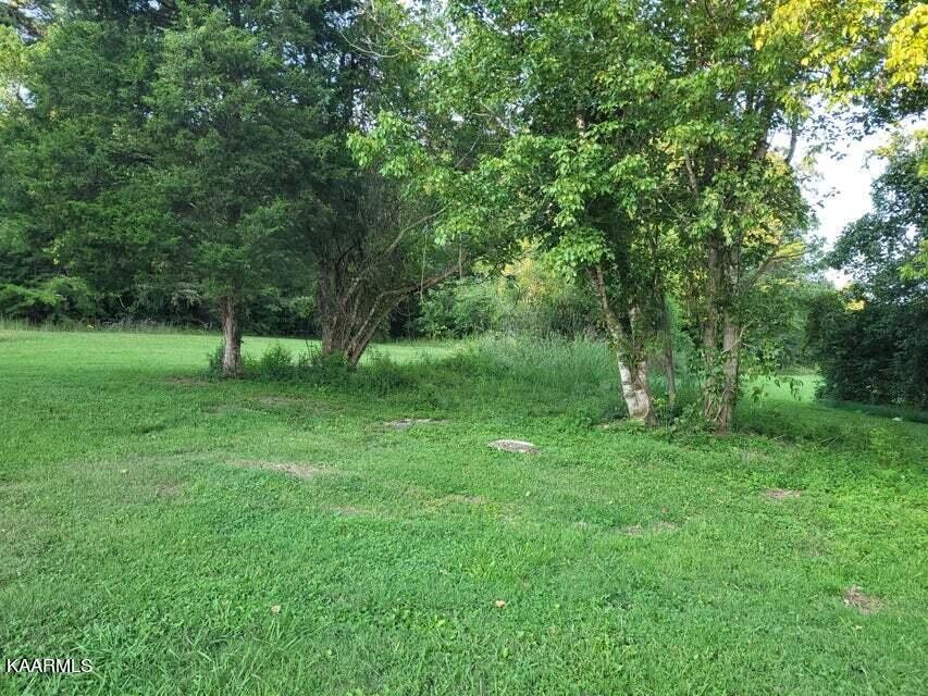 715 Deaderick Road Knoxville, TN 37920 - Photo 4 of 22 Gallery Image 4