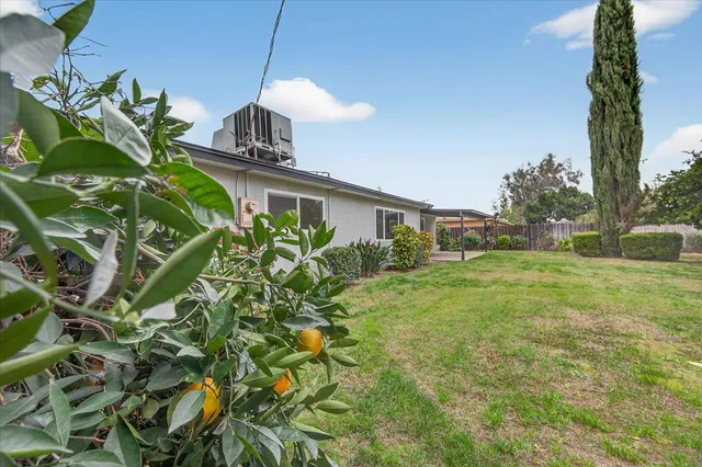 a vase of flowers sitting in the middle of a yard