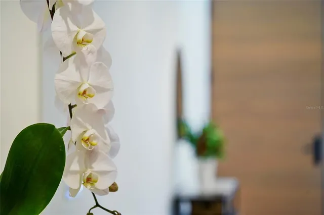 $3,400,000 | 948 Citrus Avenue, Sarasota, FL 34236