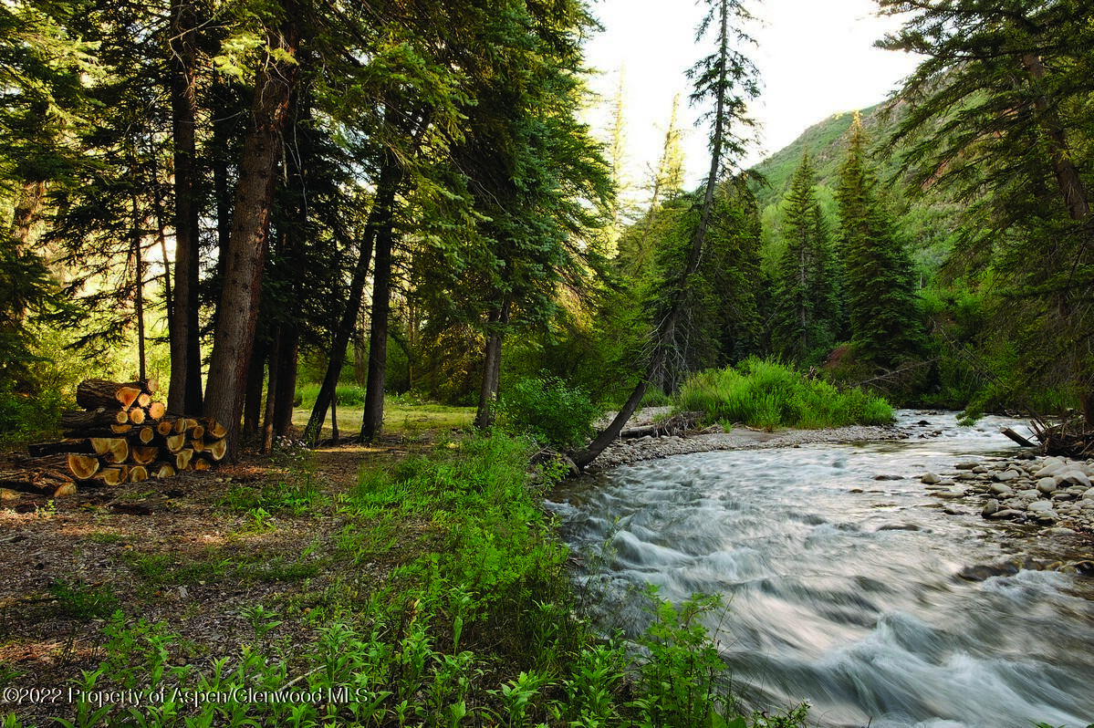 333 Snowmass Creek Road Snowmass, CO 81654 - Photo 3 of 41 a view of a forest filled with trees