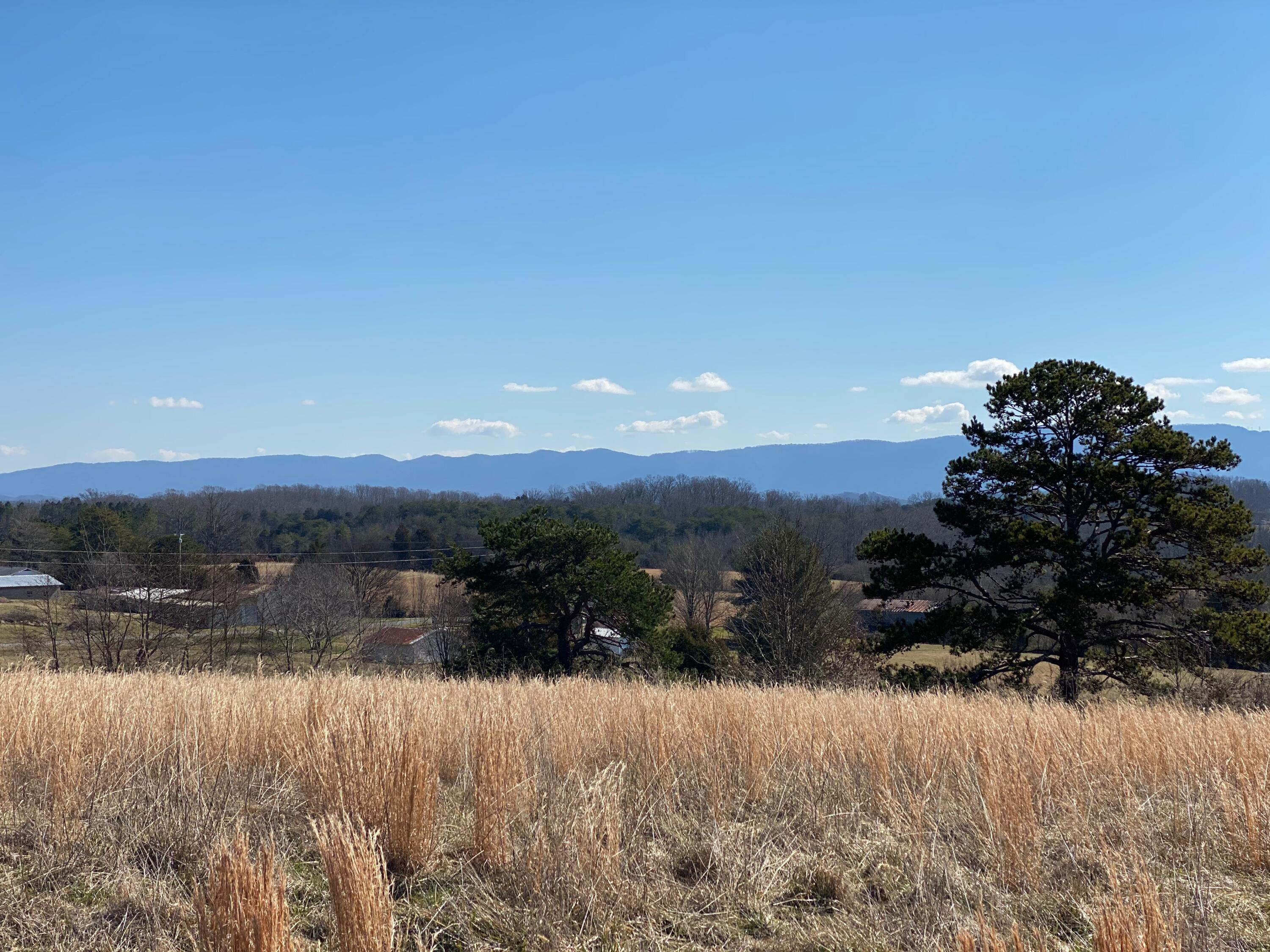 9 Mile Road Maryville, TN 37801 - Photo 12 of 17 IMG_2330