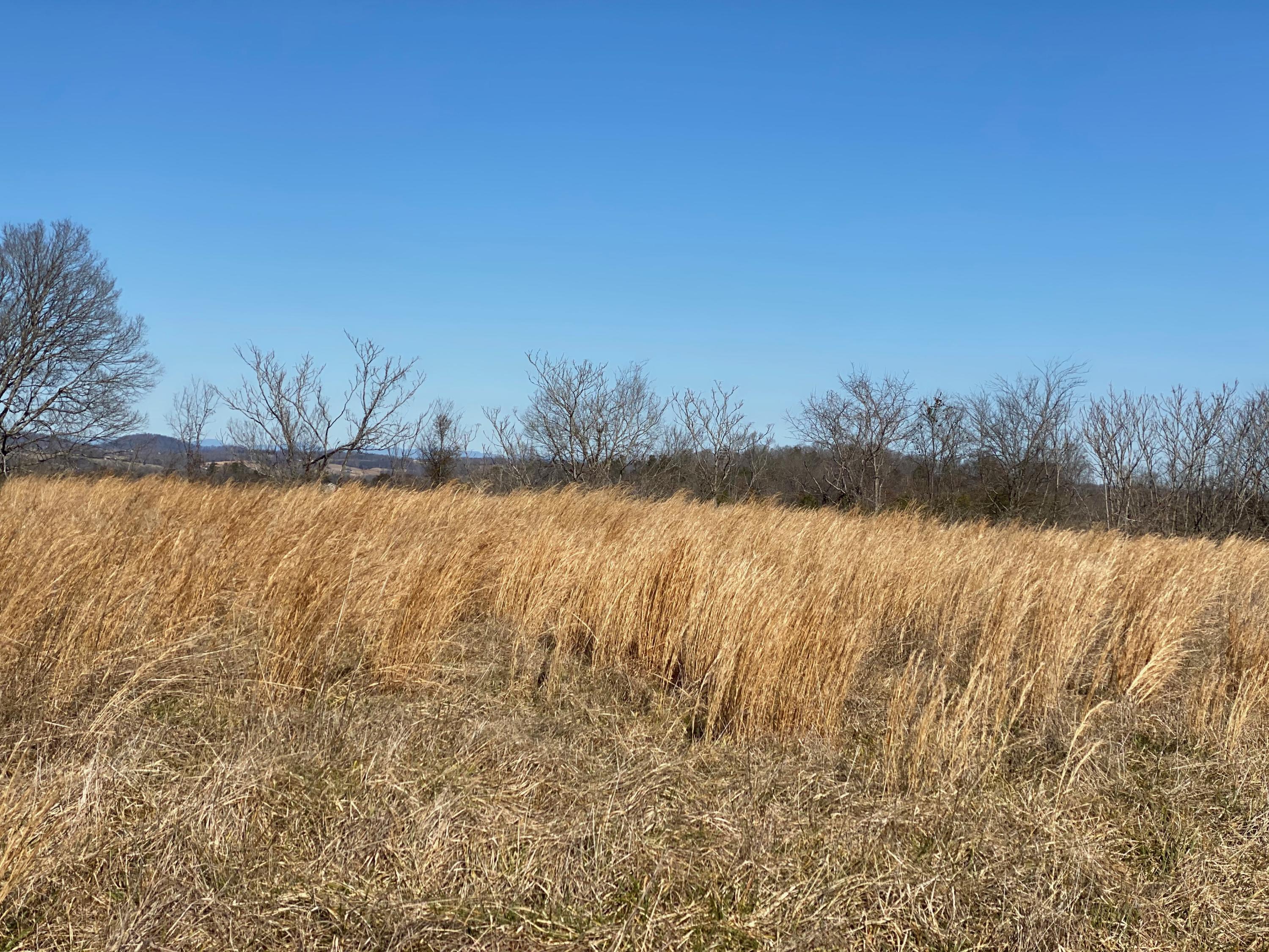 9 Mile Road Maryville, TN 37801 - Photo 13 of 17 IMG_2331
