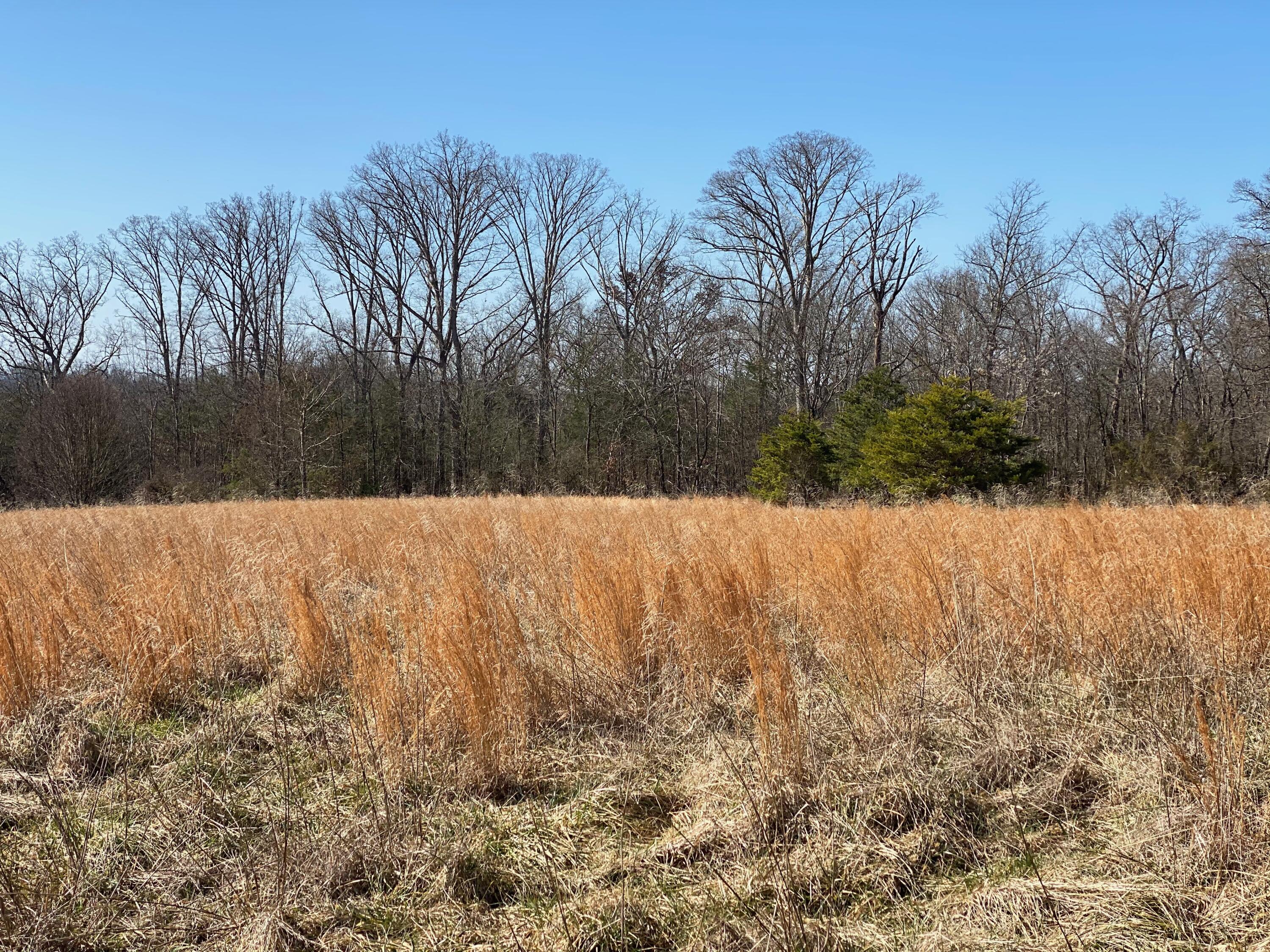 9 Mile Road Maryville, TN 37801 - Photo 14 of 17 IMG_2332
