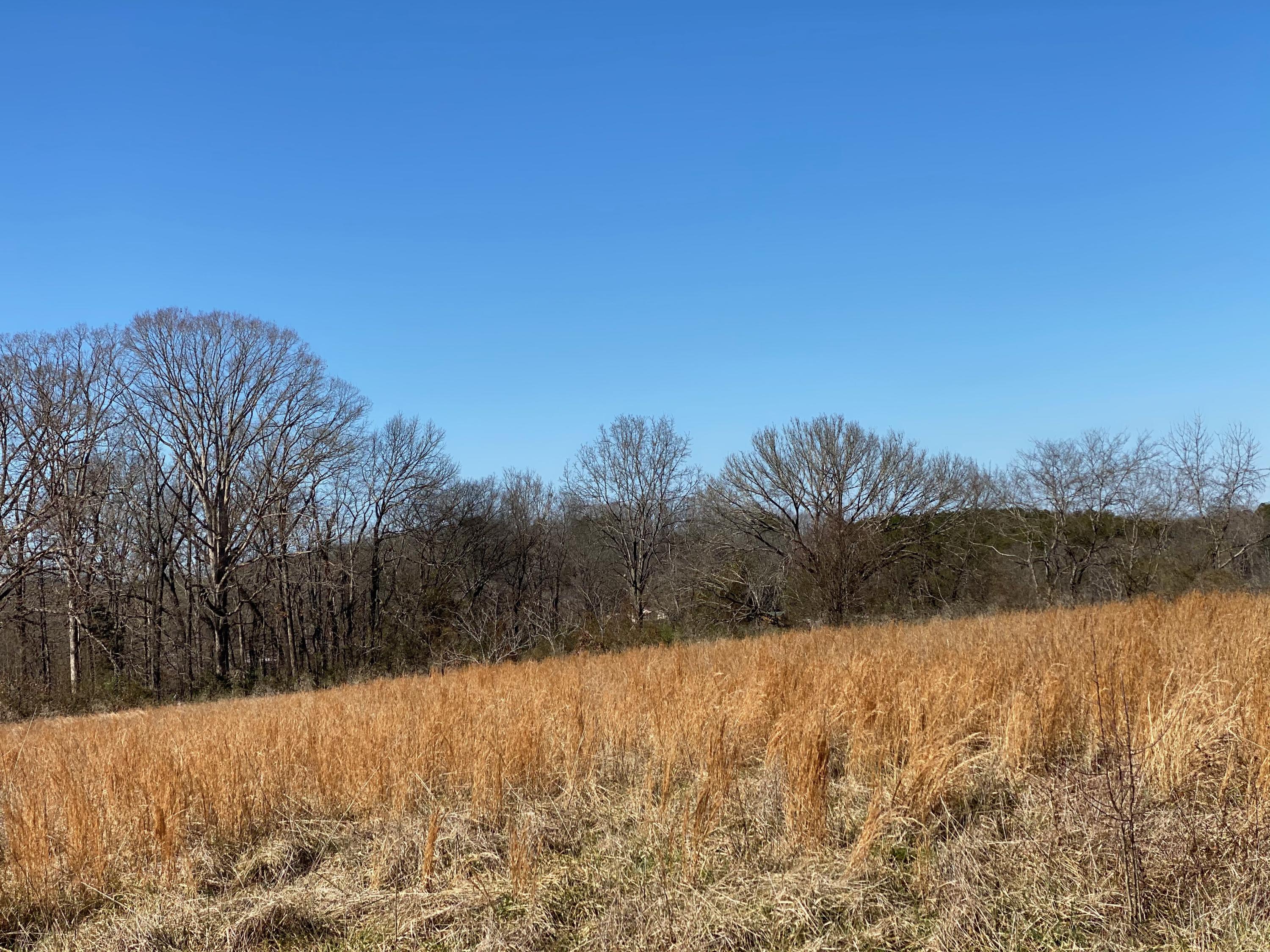 9 Mile Road Maryville, TN 37801 - Photo 15 of 17 IMG_2333