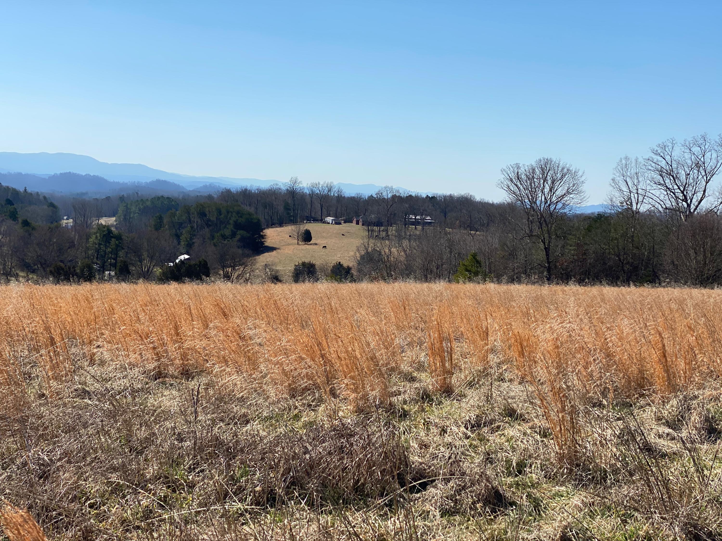 9 Mile Road Maryville, TN 37801 - Photo 16 of 17 IMG_2334