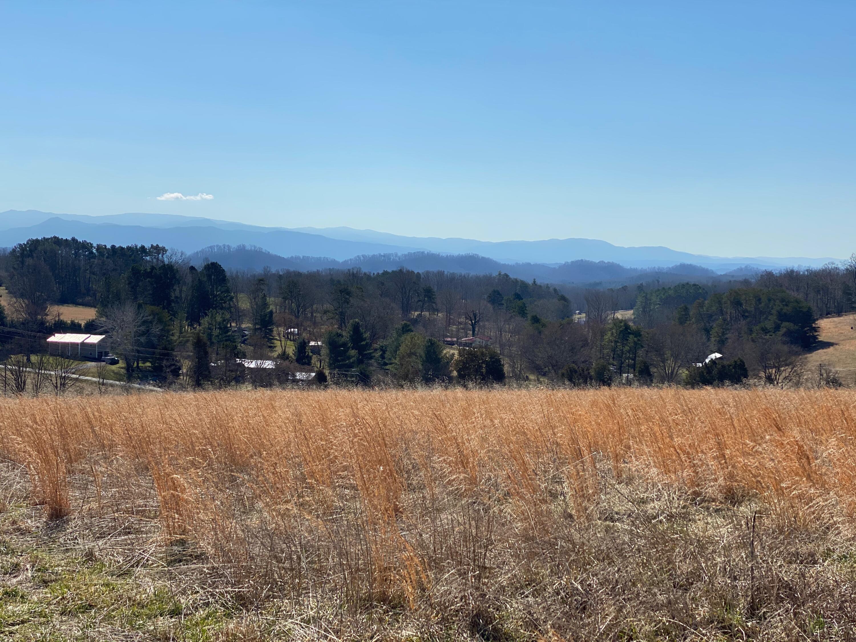 9 Mile Road Maryville, TN 37801 - Photo 17 of 17 IMG_2335