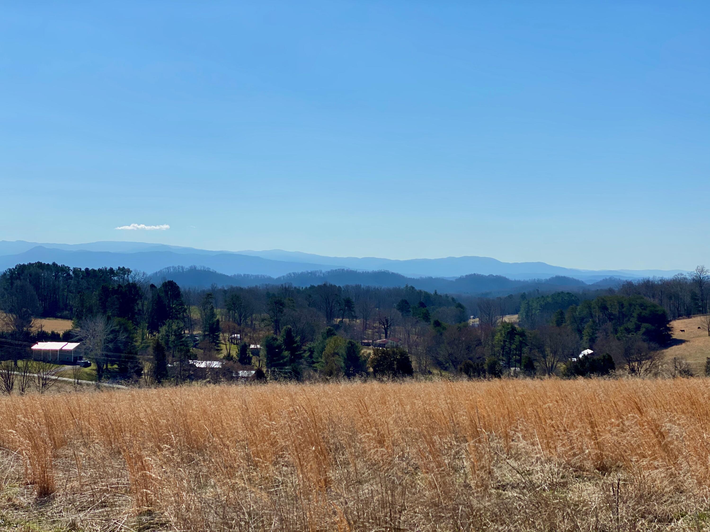 9 Mile Road Maryville, TN 37801 - Photo 9 of 17 IMG_2327
