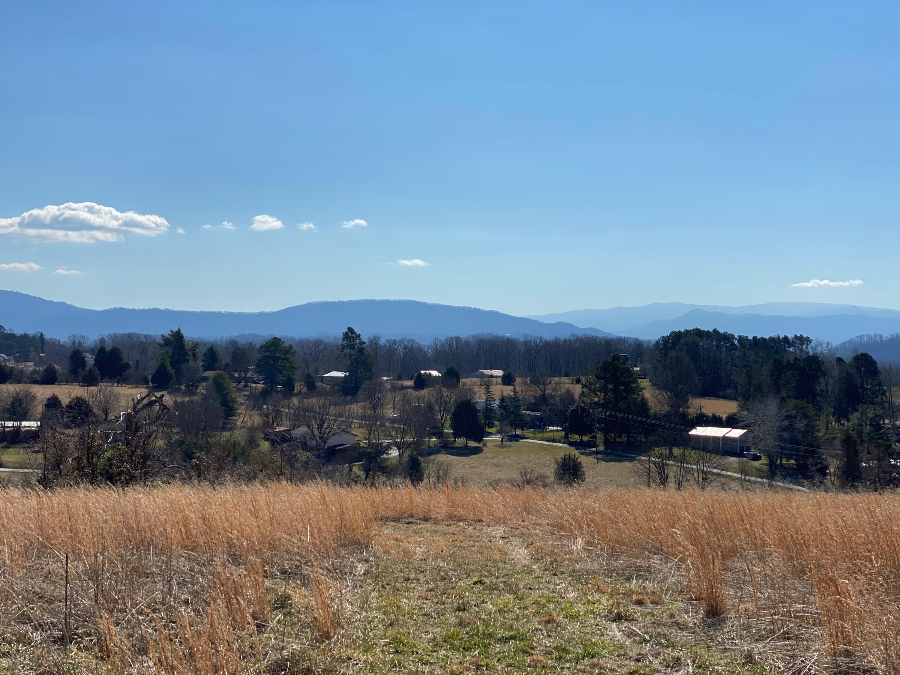 9 Mile Road Maryville, TN 37801 - Photo 10 of 17 IMG_2328