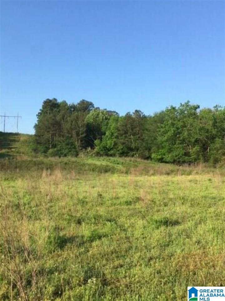 0 Marsh Drive Cleveland, AL 35049 - Photo 3 of 11