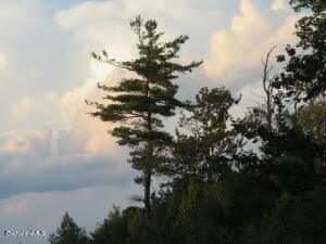 0 Johnnycake Hill Road Chester, MA 01011 - Photo 3 of 12