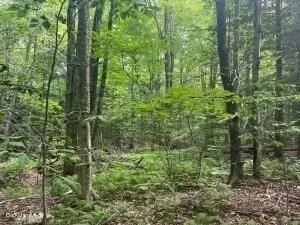 a view of outdoor space and green space