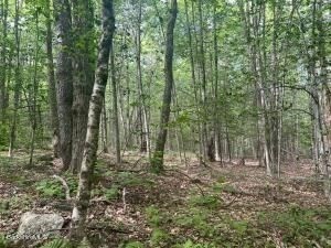 0 Johnnycake Hill Road Chester, MA 01011 - Photo 6 of 12 a view of outdoor space and green space