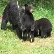 a view of outdoor space and green space