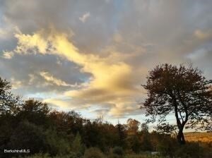 0 Johnnycake Hill Road Chester, MA 01011 - Photo 10 of 12 a view of a big yard with large trees