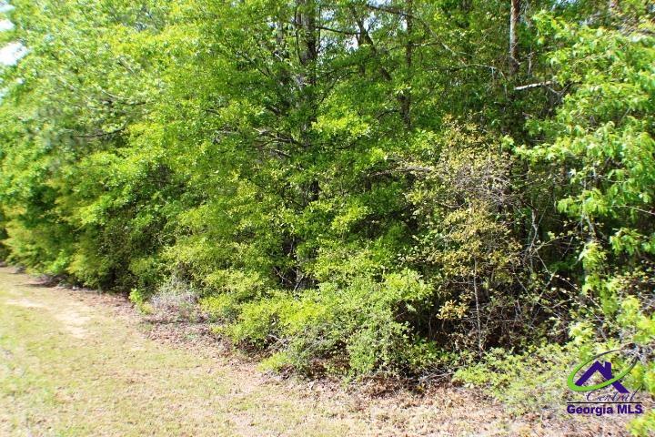 Lot 14 Payne Road Rentz, GA 31075 - Photo 1 of 8