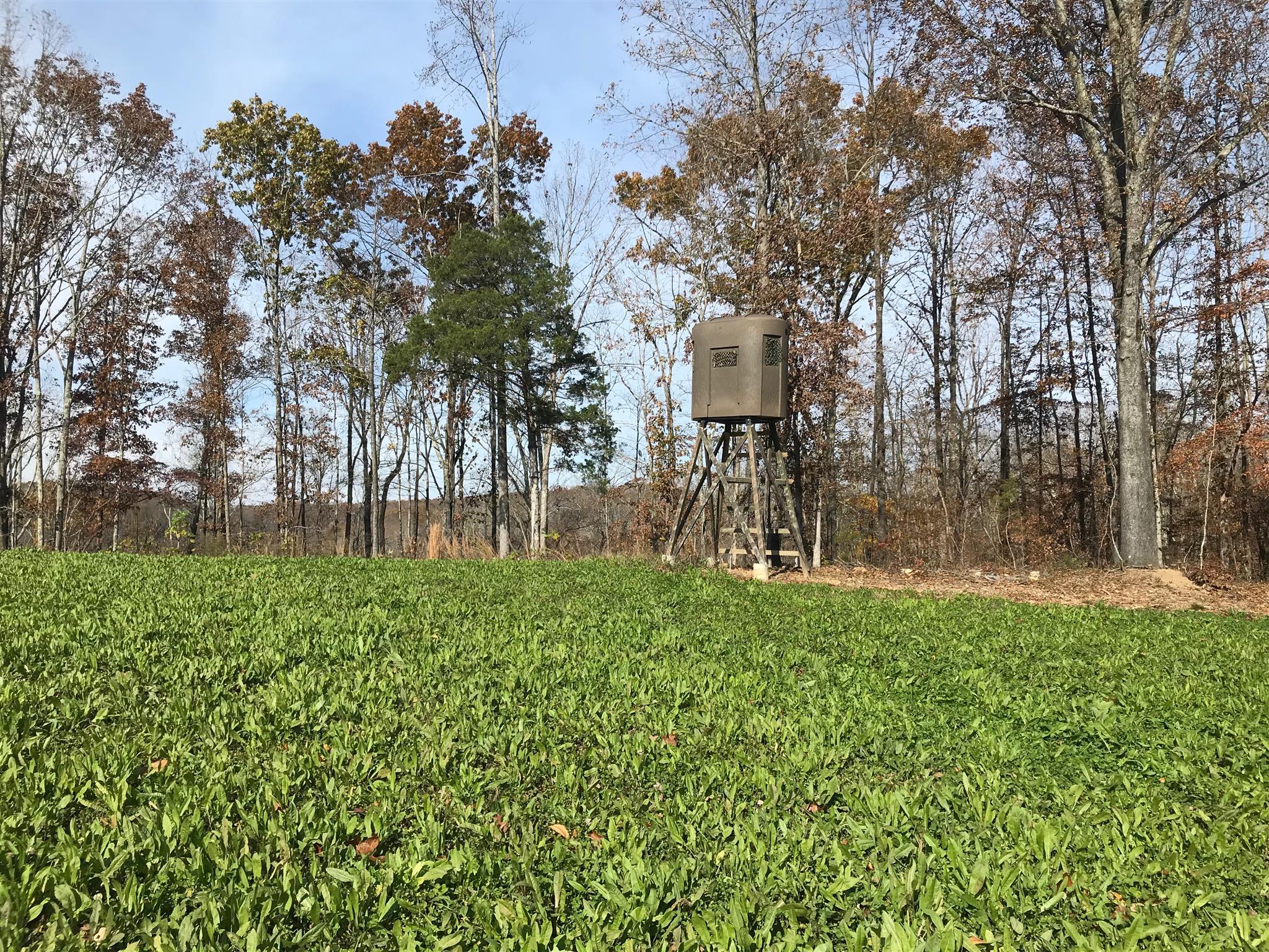4994 Scott Branch Road Hampshire, TN 38461 - Photo 1 of 29 Gallery Image 1