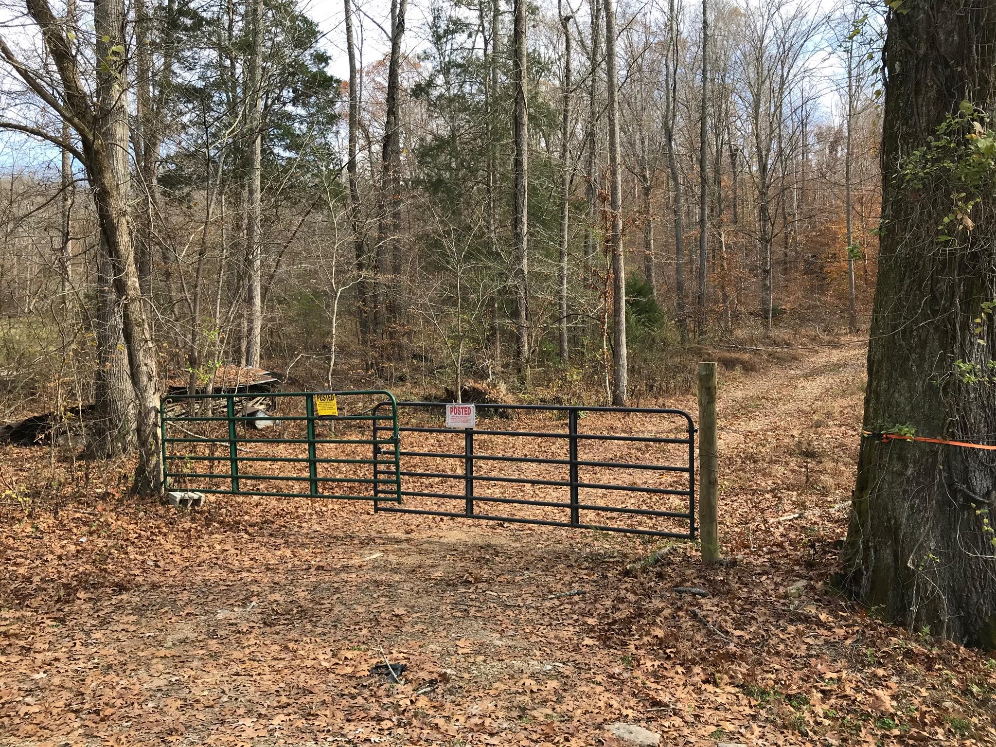 4994 Scott Branch Road Hampshire, TN 38461 - Photo 21 of 29 Gallery Image 21