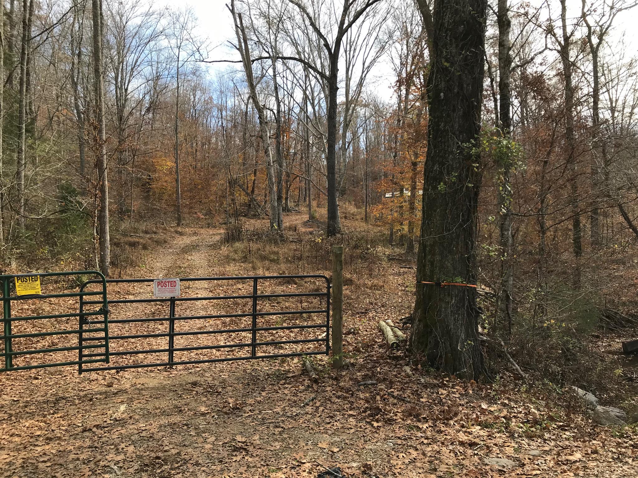 4994 Scott Branch Road Hampshire, TN 38461 - Photo 22 of 29 Gallery Image 22