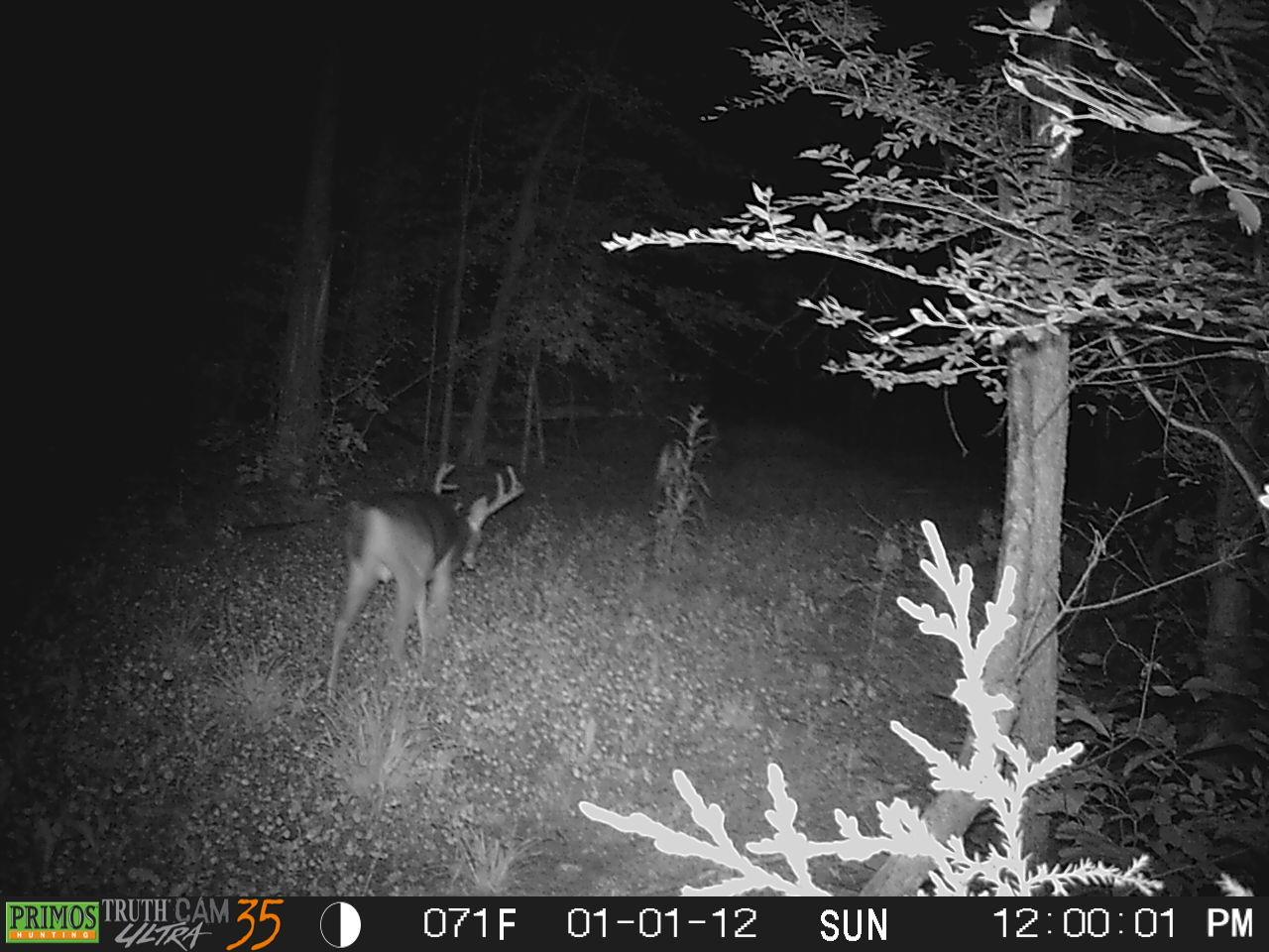 4994 Scott Branch Road Hampshire, TN 38461 - Photo 24 of 29 Gallery Image 24