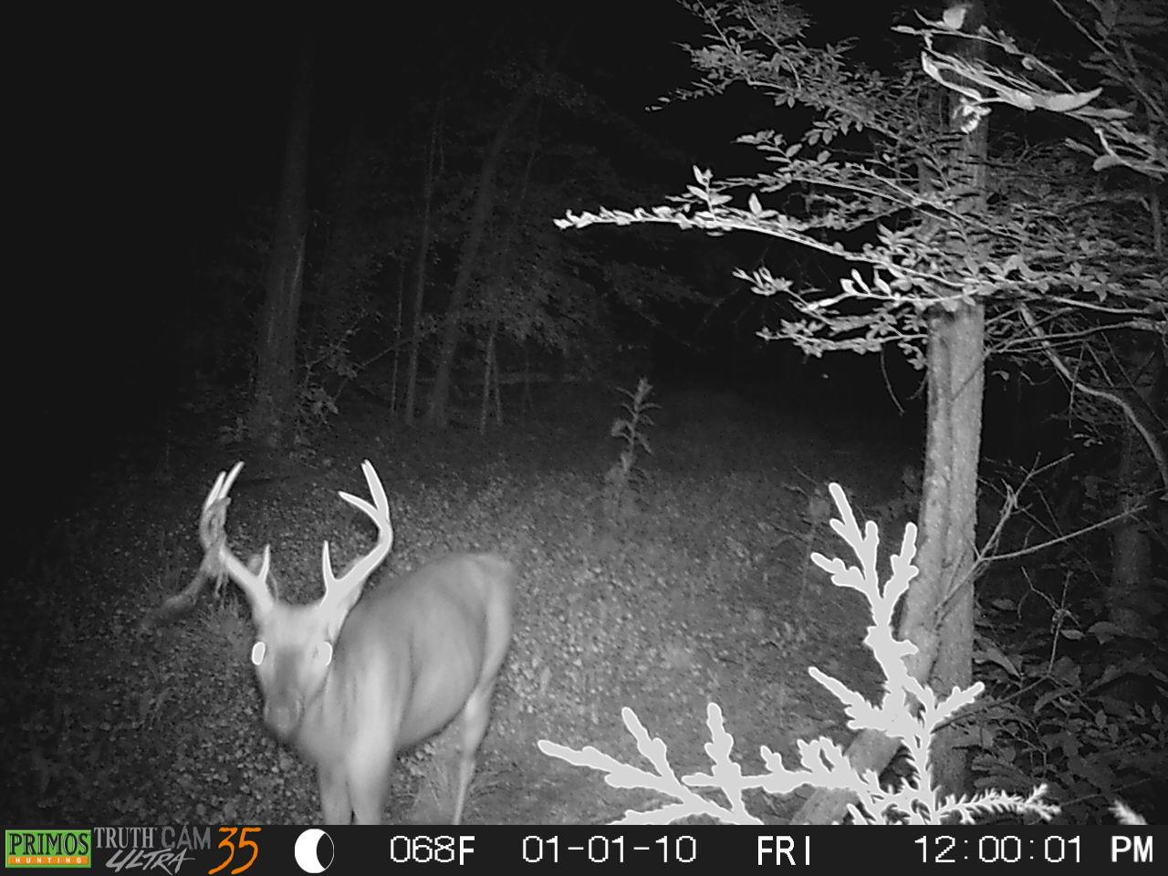 4994 Scott Branch Road Hampshire, TN 38461 - Photo 25 of 29 Gallery Image 25