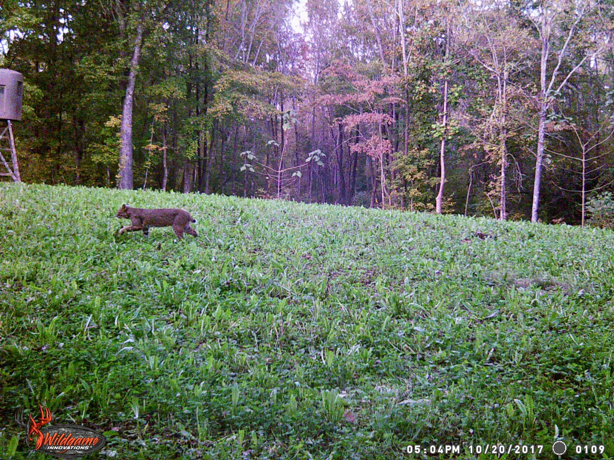 4994 Scott Branch Road Hampshire, TN 38461 - Photo 27 of 29 Gallery Image 27