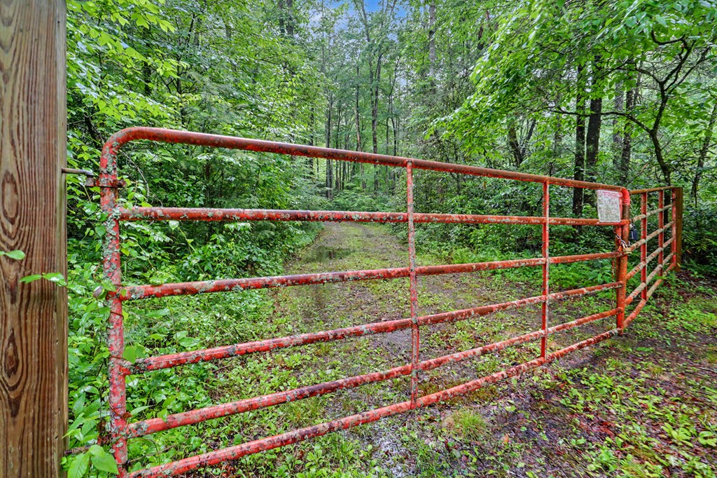 1070 Morgan Creek Road Marble, NC 28905 - Photo 24 of 40