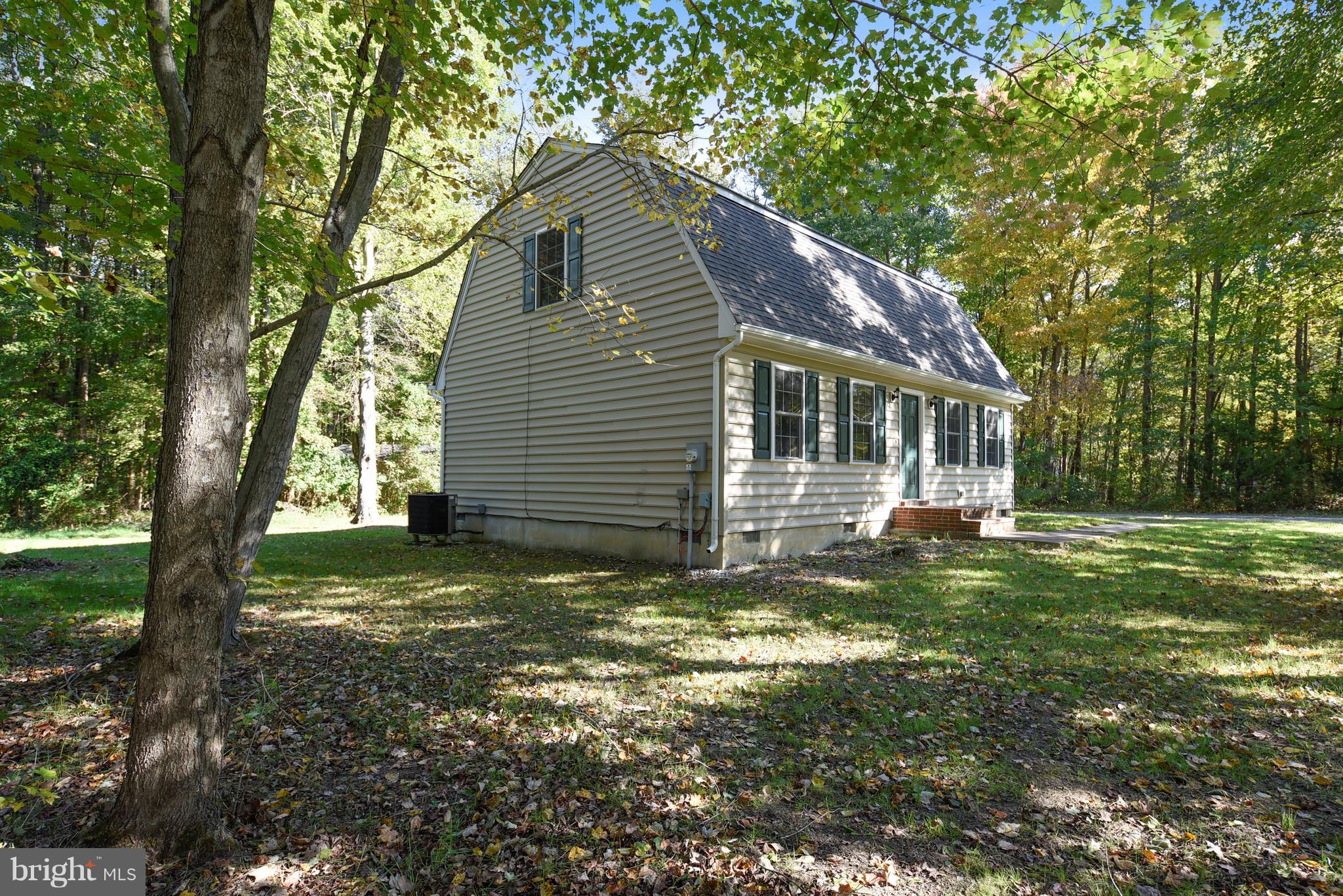 23360 Vireo Road Chestertown, MD 21620 - Photo 2 of 25 Side Yard