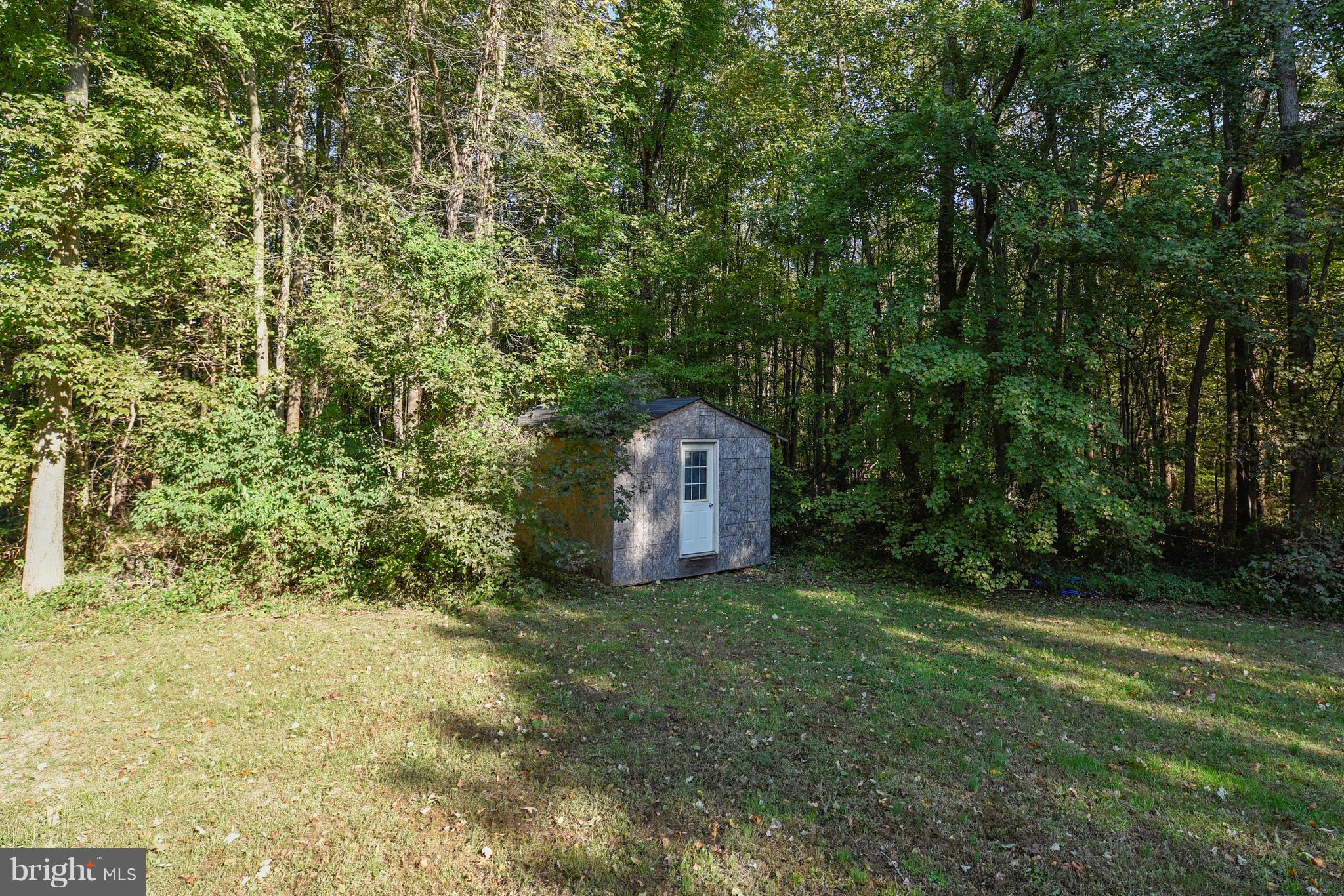 23360 Vireo Road Chestertown, MD 21620 - Photo 7 of 25 Shed