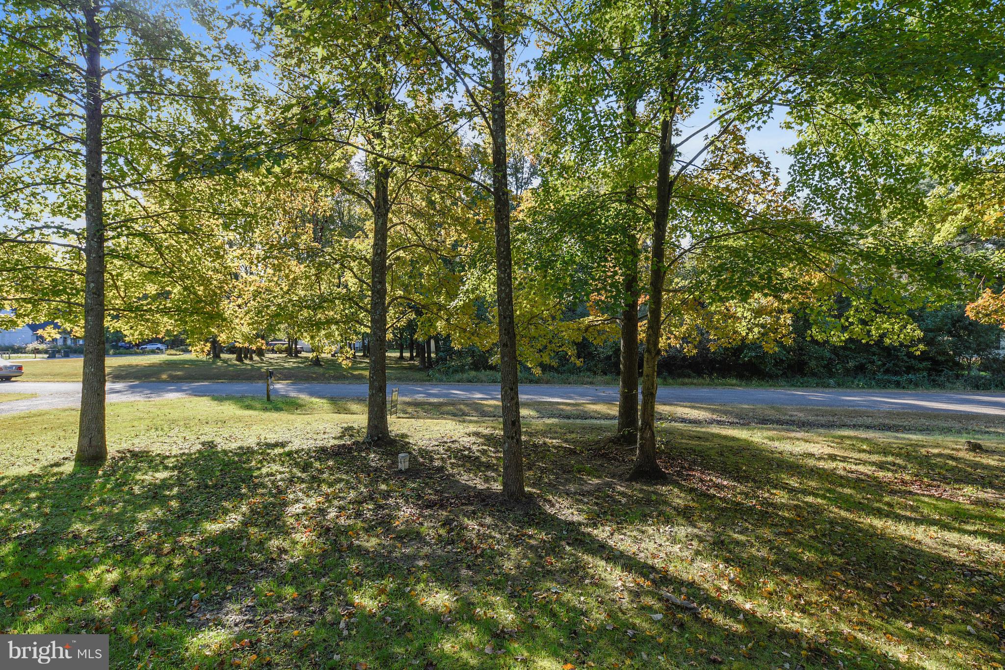 23360 Vireo Road Chestertown, MD 21620 - Photo 8 of 25 Beautiful landscaping