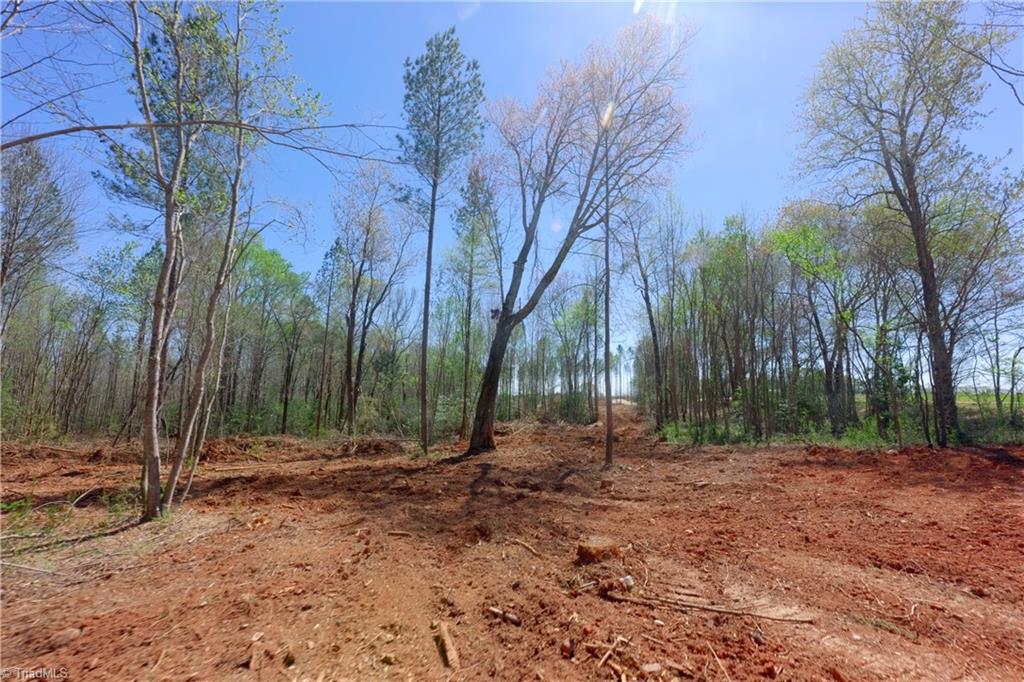 3 Alexander Farm Road Harmony, NC 28634 - Photo 13 of 27
