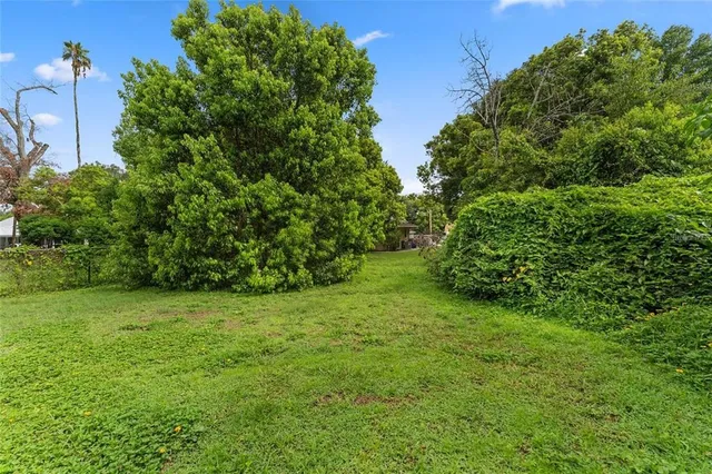 a view of a big yard with plants and large trees
