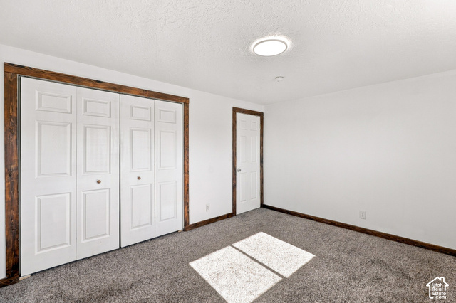 224 Canal Bank Road Garland, UT 84312 - Photo 12 of 21 Textured carpet flooring