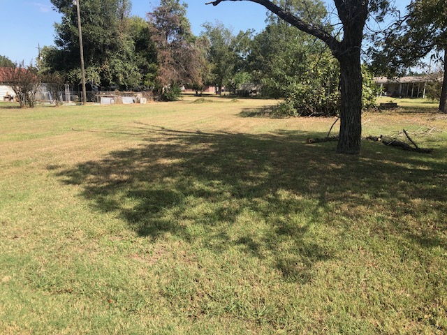 302 North Burnet Street Bremond, TX 76629 - Photo 28 of 41 a view of yard with trees