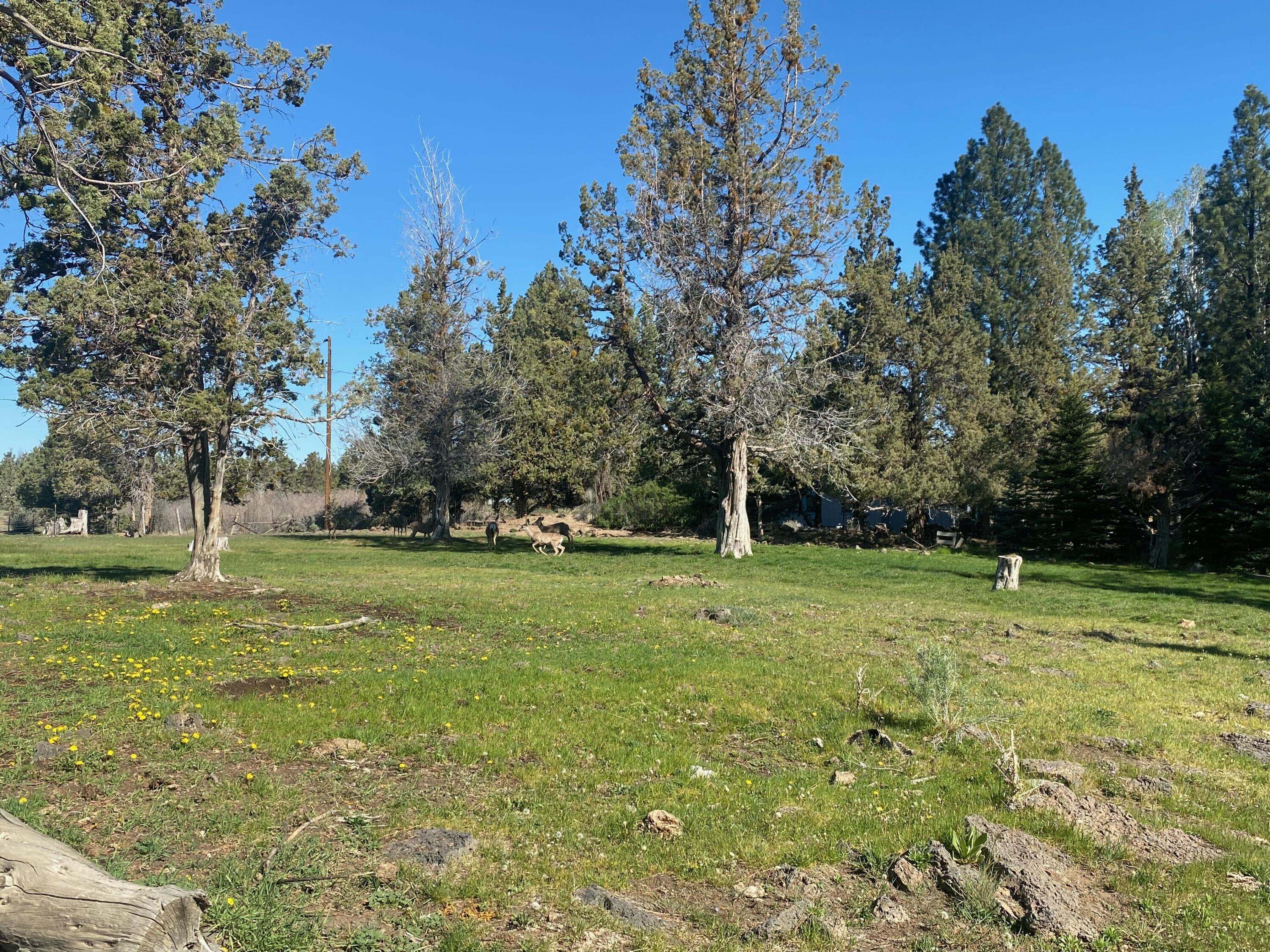 63480 Hughes Road Bend, OR 97701 - Photo 39 of 61 2