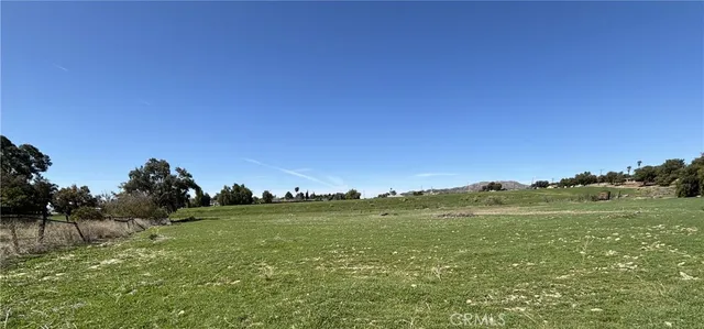 a view of a field with an ocean and trees