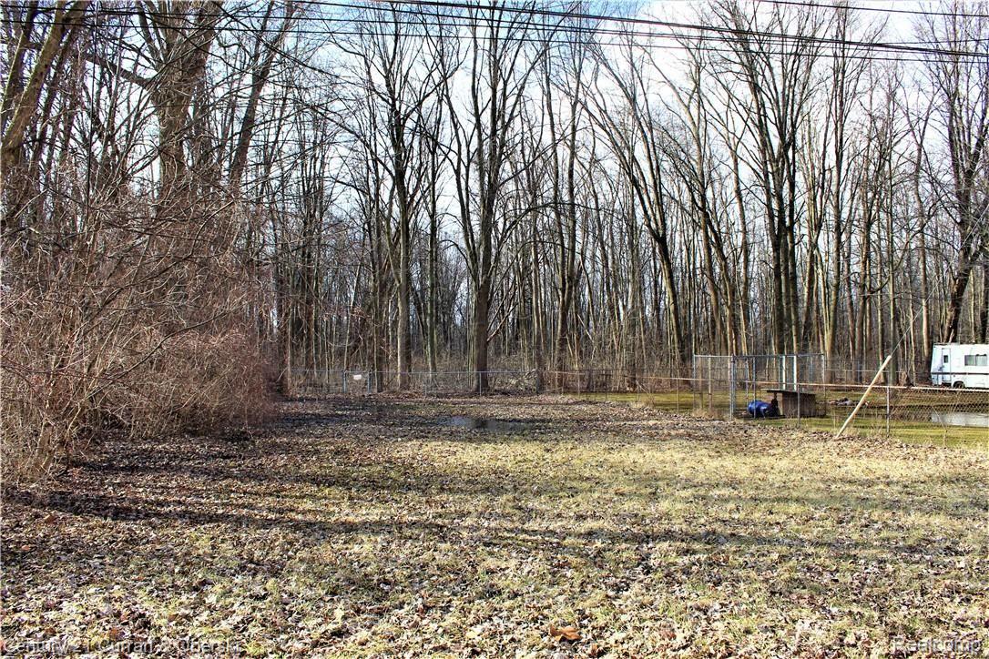 37109 Bendix Street Wayne, MI 48184 - Photo 12 of 17 Deep 357 Ft lot!
