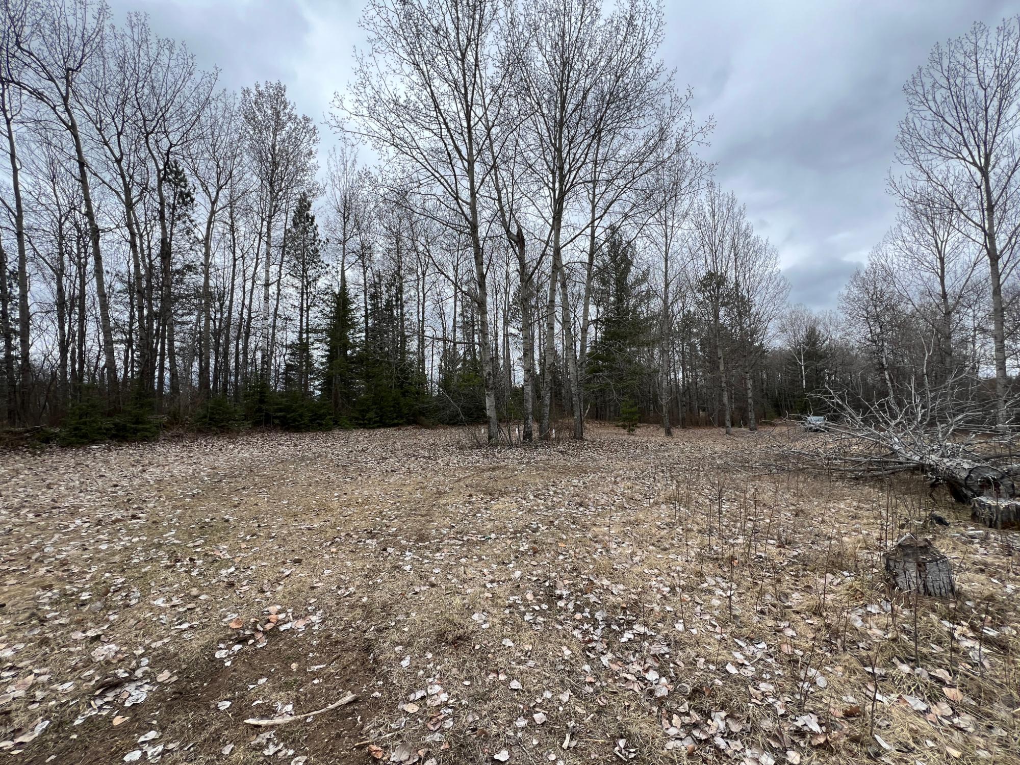 On On Shabby Lane Rhinelander, WI 54501 - Photo 16 of 18 Gallery Image 16